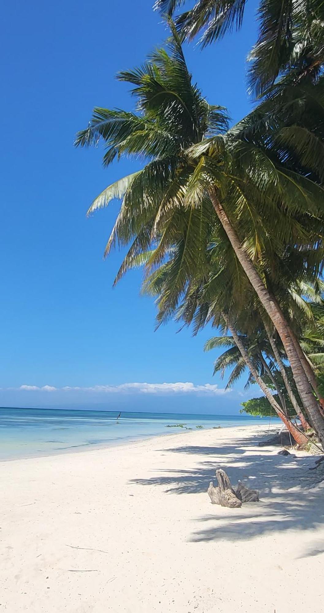 Apo Diver Beach Resort San Juan  Exteriör bild